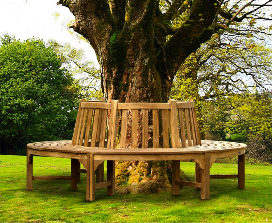  Circle Tree Bench for Simple Design